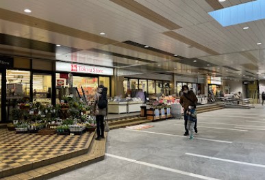 スーパー　東急ストア 菊名店（スーパー）まで747m