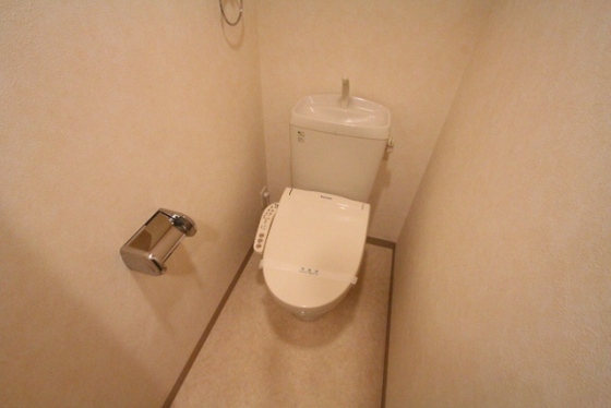 トイレ　※別号室の写真です