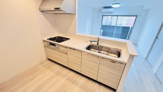 キッチン　食器洗浄乾燥機付き