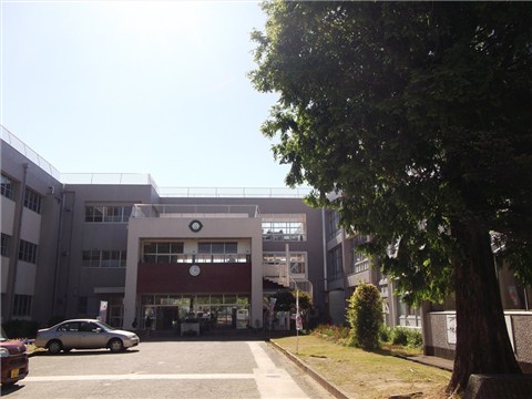 小学校　上越市立高田西小学校（小学校）まで1100m