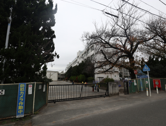 小学校　大和市立緑野小学校（小学校）まで793m