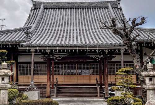 その他　善徳寺（その他）まで505m
