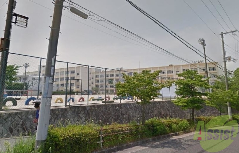 小学校　南五葉小学校（小学校）まで446m