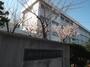 中学校　小針中学校（中学校）まで320m