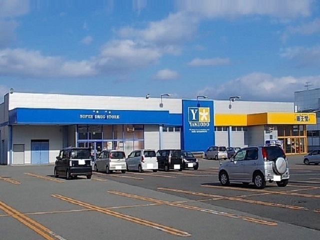 ドラックストア　薬王堂　秋田土崎店（ドラッグストア）まで1100m