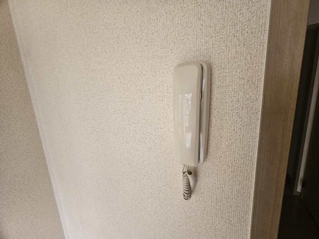 カサミラのその他写真