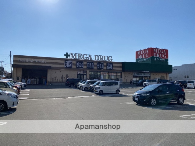ドラックストア　メガ新国道店（ドラッグストア）まで310m