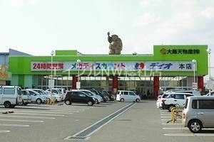 スーパー　ディオマート児島店（スーパー）まで284m