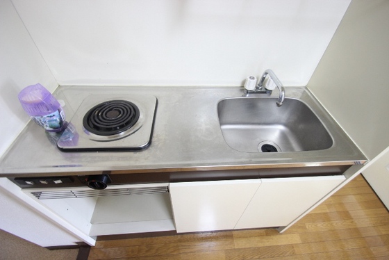 キッチン　※別号室の写真です