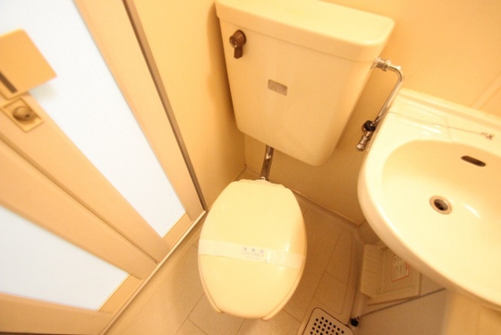 トイレ　※別号室の写真です