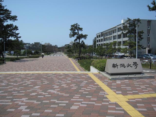 【野島ハイツIIの大学・短大】