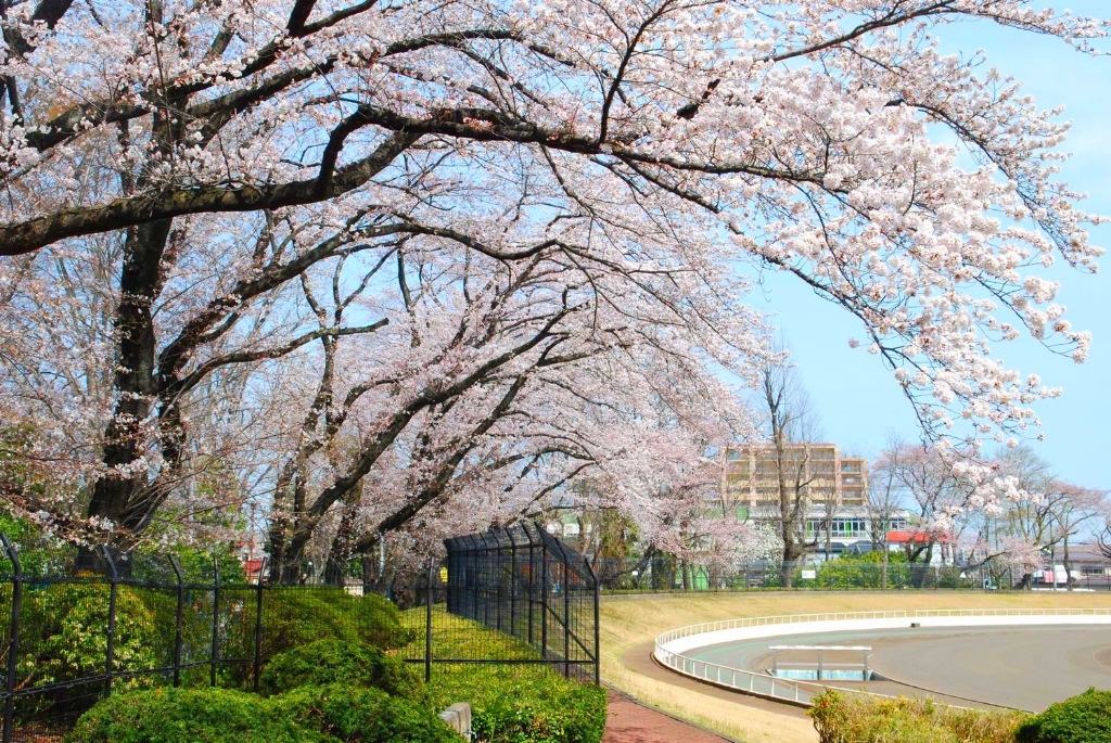 【八王子市上野町のアパートの公園】