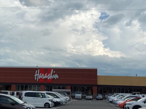 スーパー　原信 近江店（スーパー）まで771m