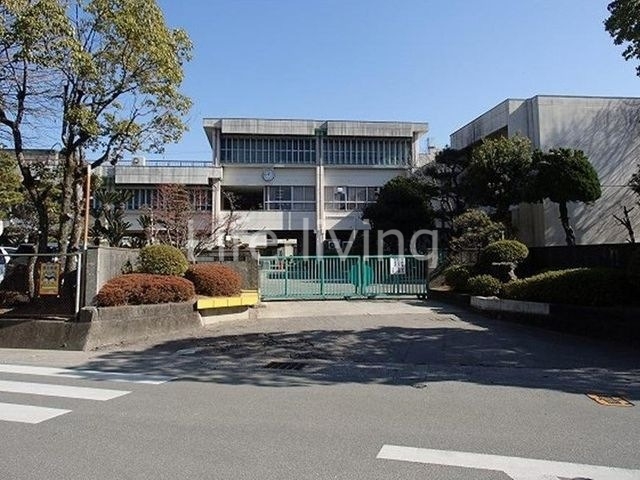 小学校　徳島市立八万南小学校（小学校）まで173m