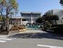 小学校　徳島市立八万南小学校（小学校）まで173m
