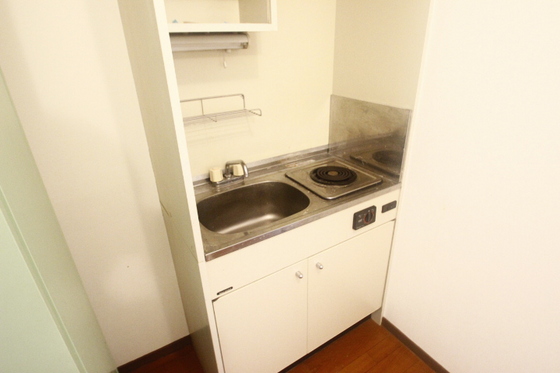 キッチン　※別号室の写真です