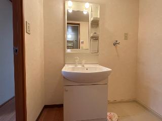 洗面設備　洗髪洗面化粧台（イメージ）