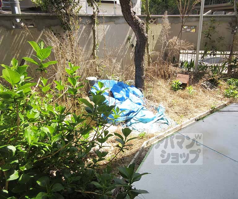 その他部屋・スペース　庭があります。