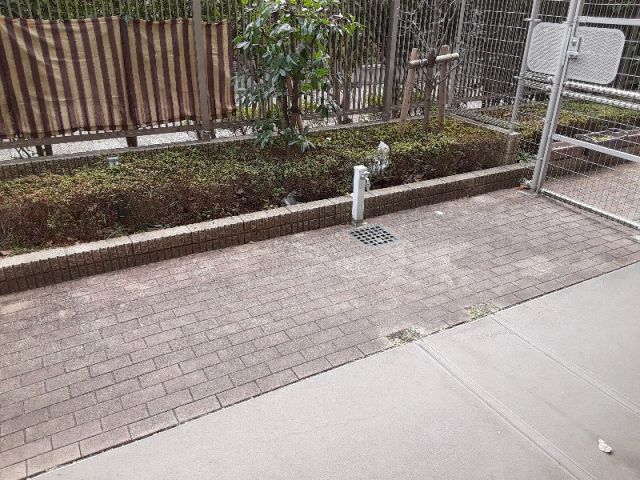 庭