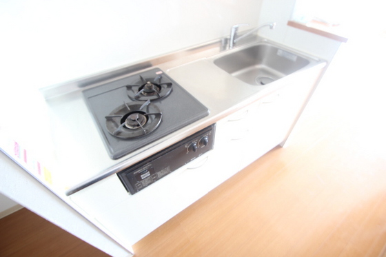 キッチン　※別号室の写真となります