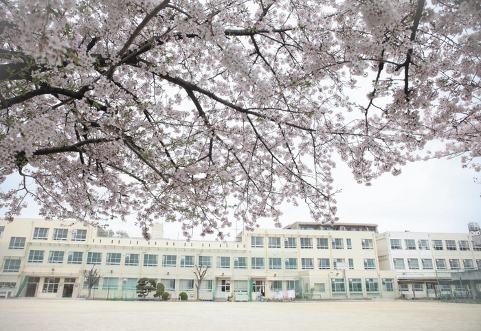 小学校　名古屋市立山吹小学校（小学校）まで570m