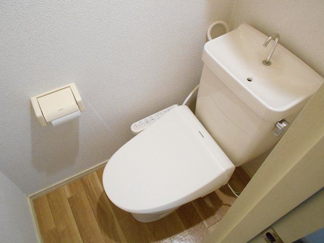 ドミール中央のトイレ写真