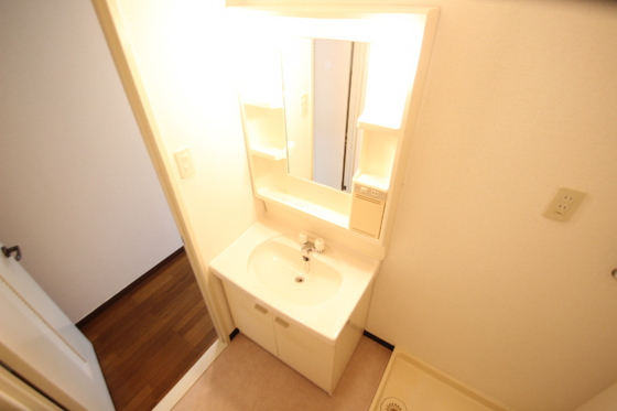洗面設備　※別号室の写真となります