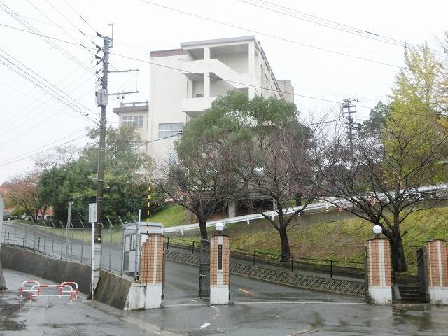 高校・高専　自由ケ丘高校（高校・高専）まで2083m