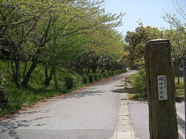 中学校　姉崎中学校（中学校）まで757m