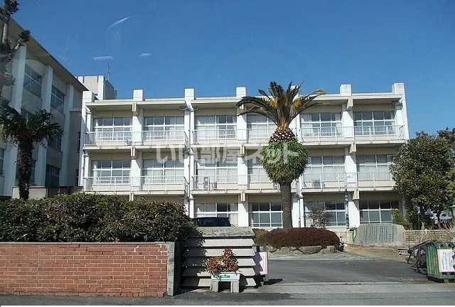 小学校　今治市立別宮小学校（小学校）まで188m