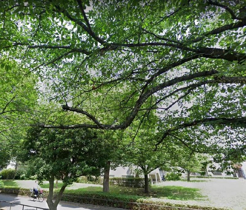 公園　西新井公園（公園）まで260m