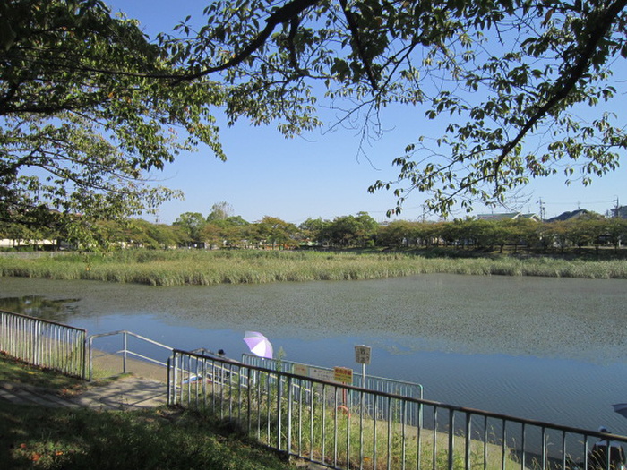 公園　ほら貝公園（公園）まで257m