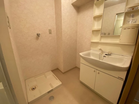 洗面設備　※別号室の写真です