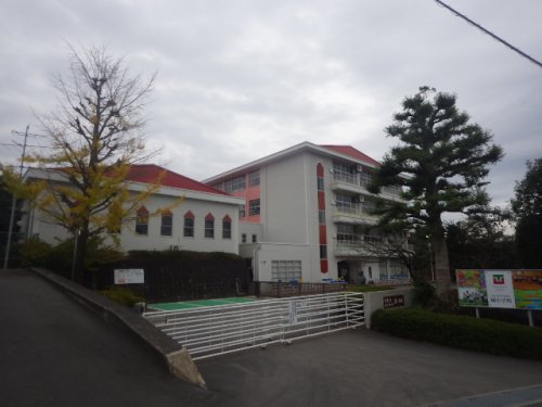 小学校　私立常葉大学教育学部附属橘小学校（小学校）まで474m