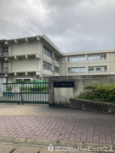 小学校　柏原小学校（小学校）まで615m