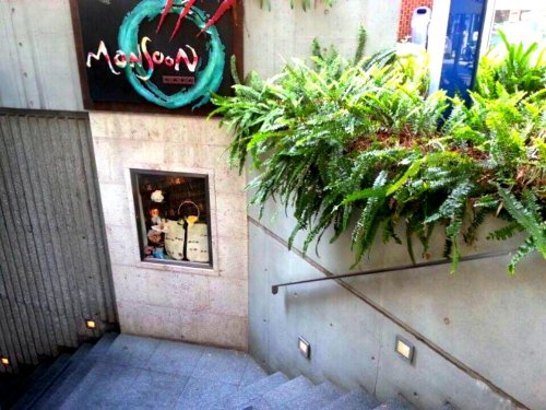 飲食店　モンスーンカフェ 自由が丘 Monsoon Cafe（飲食店）まで644m