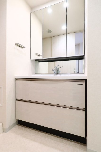 洗面設備　独立洗面化粧台が付いています