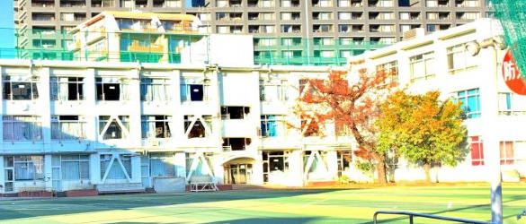 小学校　新宿区立柏木小学校（小学校）まで528m