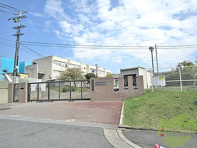 小学校　桃山台小学校（小学校）まで329m