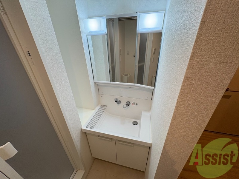 洗面設備　シャンプードレッサー。身支度はここでばっちりですね。