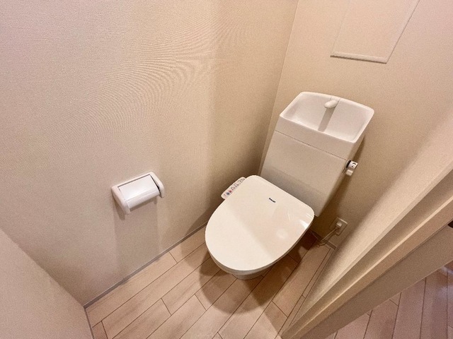 トイレ　同物件、別号室の写真