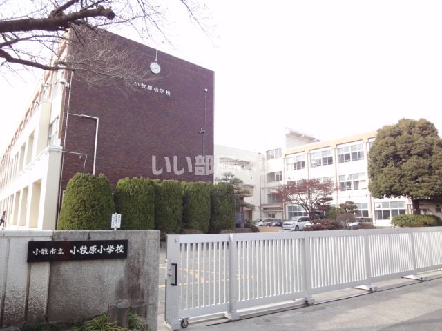 小学校　小牧市立小牧原小学校（小学校）まで168m