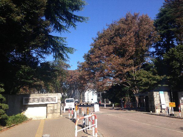 大学・短大　国立東京学芸大学（大学・短大）まで1236m