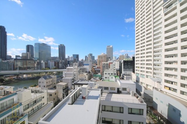 眺望　プレサンスNEO中之島公園