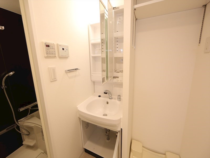 洗面設備　脱衣所　独立洗面台（シャンプードレッサー付）収納スペース有