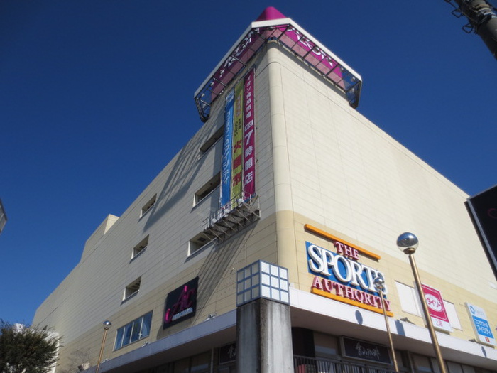 スーパー　イオン（スーパー）まで733m