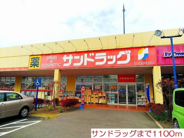 その他　サンドラッグまで1100m