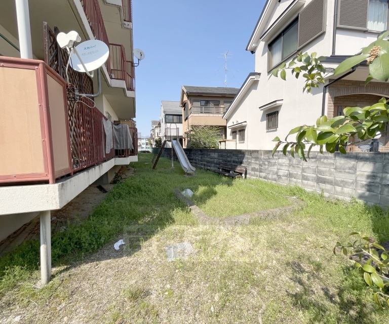 庭