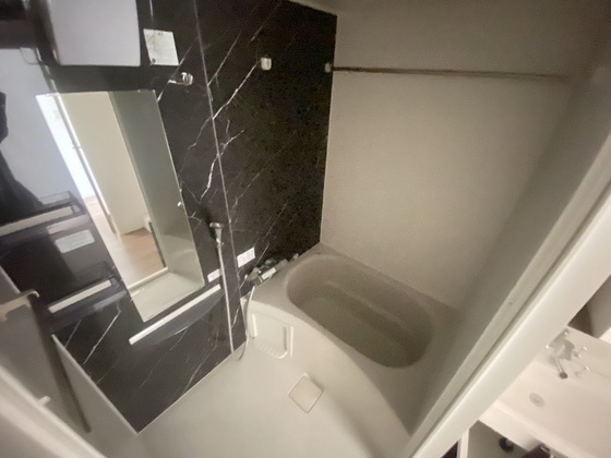 バス・シャワールーム　※別部屋の写真です