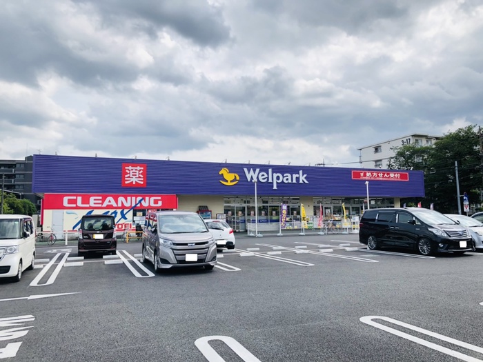 ドラックストア　ウェルパーク　小平回田町店（ドラッグストア）まで400m